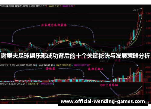 谢里夫足球俱乐部成功背后的十个关键秘诀与发展策略分析 谢里夫足球俱乐部成功背后的十个关键秘诀与发展策略分析