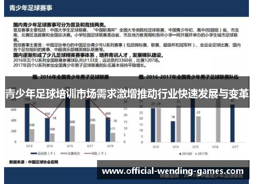 青少年足球培训市场需求激增推动行业快速发展与变革 青少年足球培训市场需求激增推动行业快速发展与变革